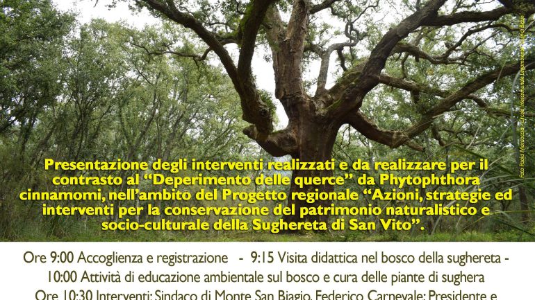 Monte San Biagio. 21 marzo: Giornata internazionale delle foreste, insieme, conserviamo la Sughereta